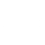 ansys-600x600