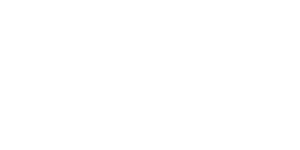 ansys-600x600