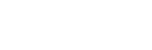 ansys
